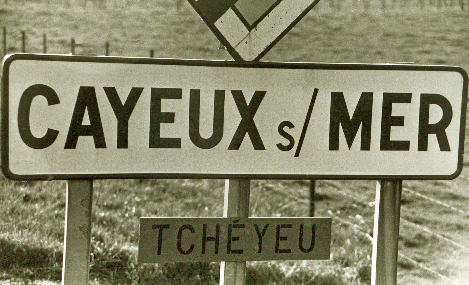 Tcheyeu